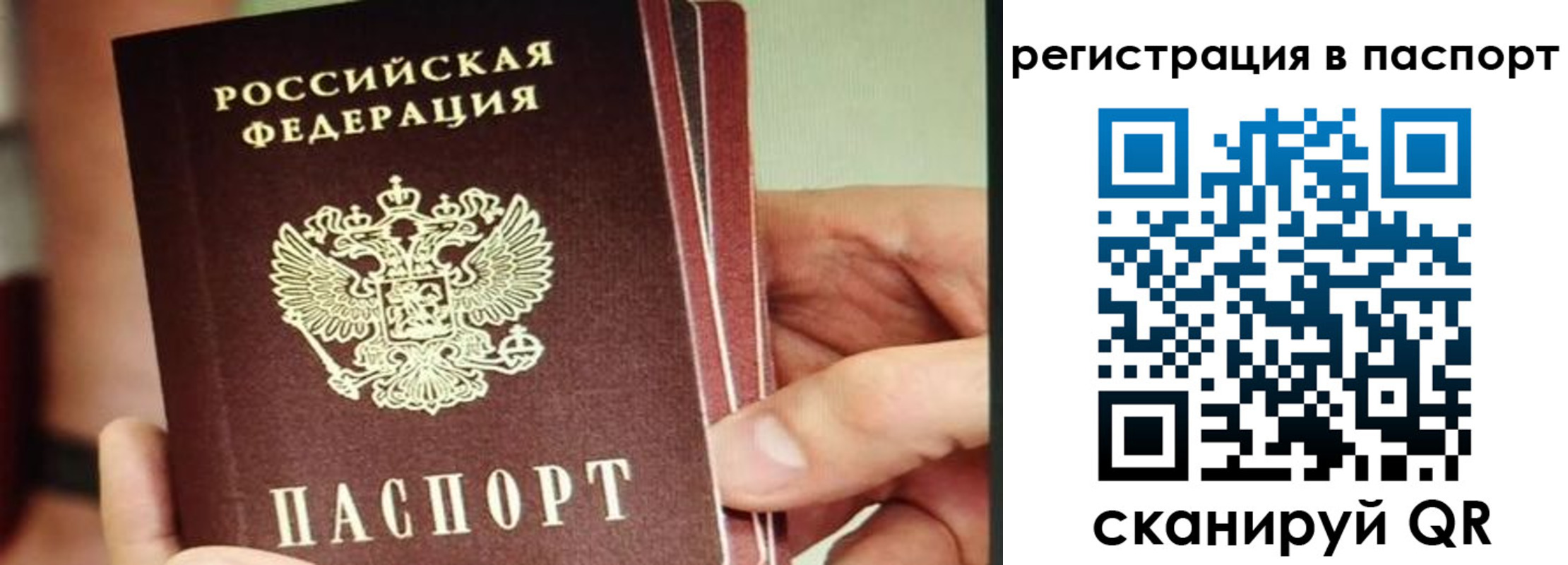 временная регистрация надежно в Сухиничи